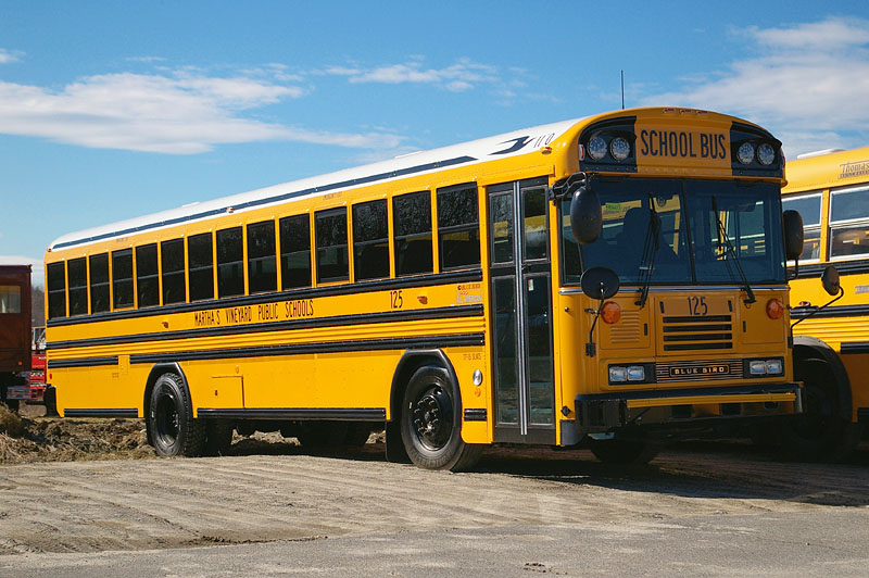 Bluebird School Buses For Sale