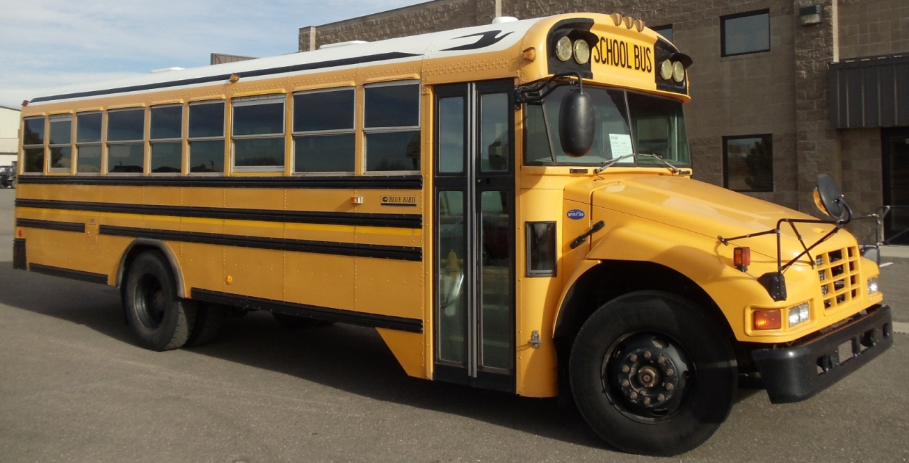 Bluebird School Buses For Sale