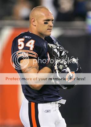 Brian Urlacher Wallpaper