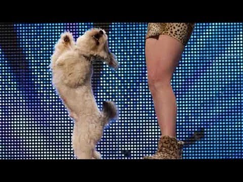 Britains Got Talent 2012 Auditions