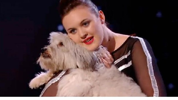 Britains Got Talent 2012 Winner Pudsey