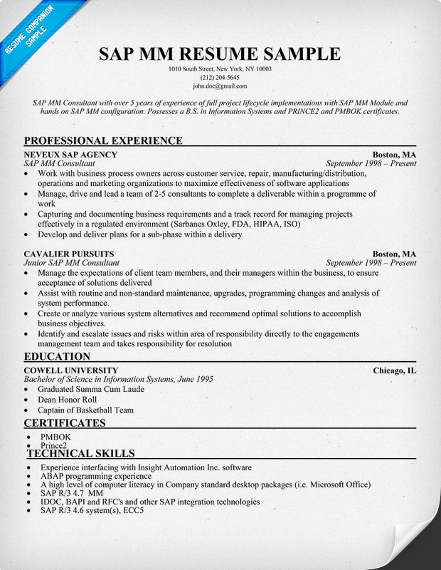 Business Consulting Resume Examples