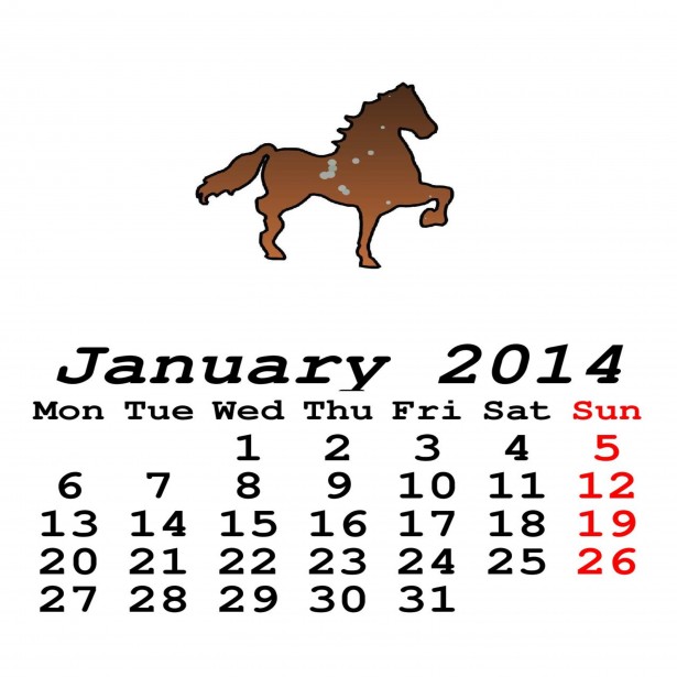 Calendar Template 2014 January