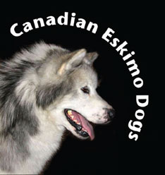 Canadian Eskimo Dog Breeders