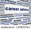 Careers Advice Poster