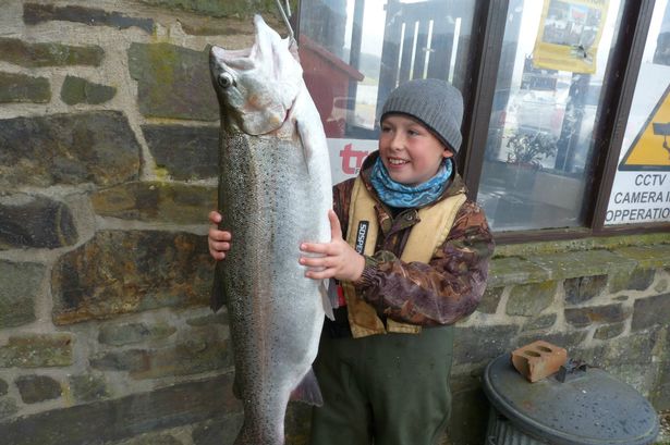 Careers Wales Work Experience Year 10