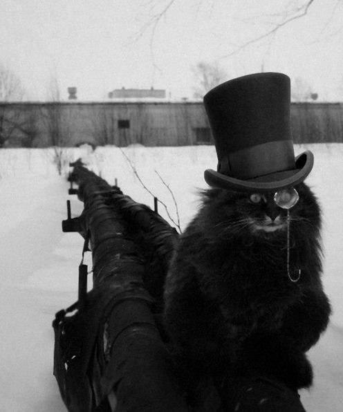 Cat Top Hat Monocle