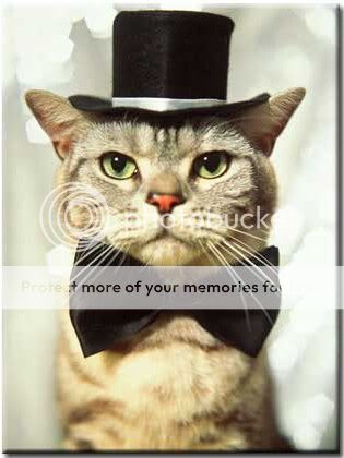 Cat Top Hat Monocle