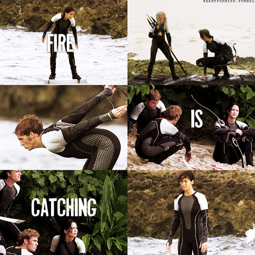 Catching Fire Finnick Odair In The Arena