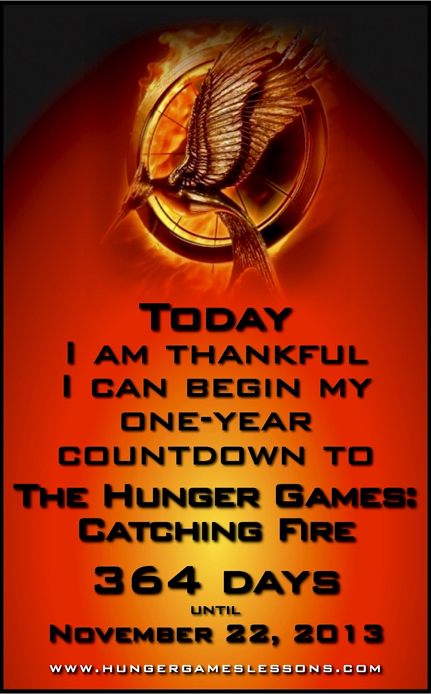 Catching Fire Movie