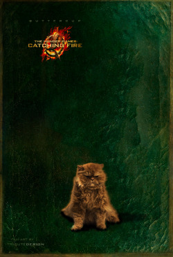 Catching Fire Poster Finnick