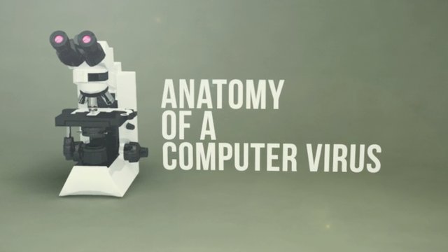 Categories Of Computer Viruses