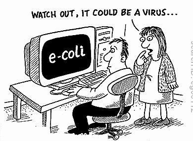 Categories Of Computer Viruses