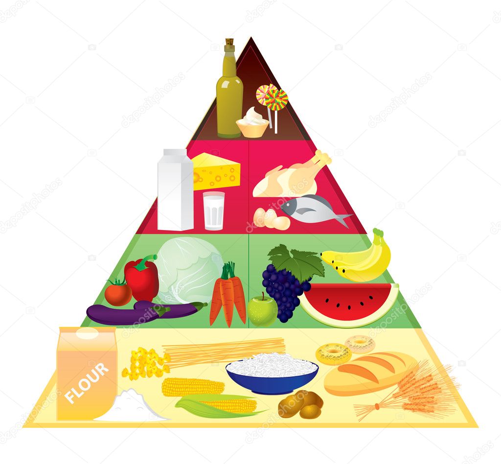 Categories Of Food Pyramid