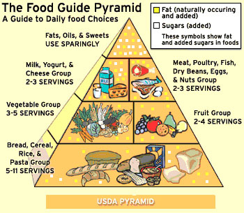 Categories Of Food Pyramid