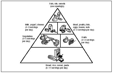 Categories Of Food Pyramid