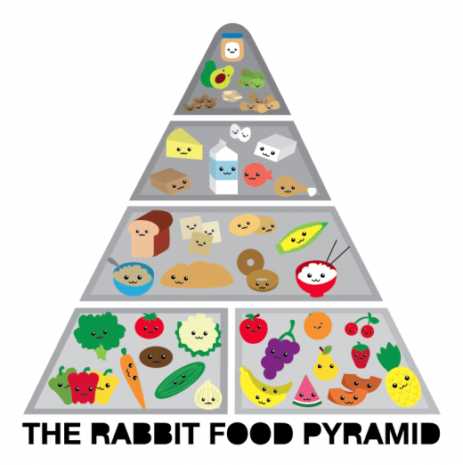 Categories Of Food Pyramid