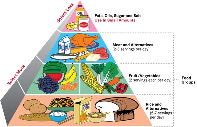 Categories Of Food Pyramid