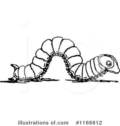 Caterpillar Clipart Black And White