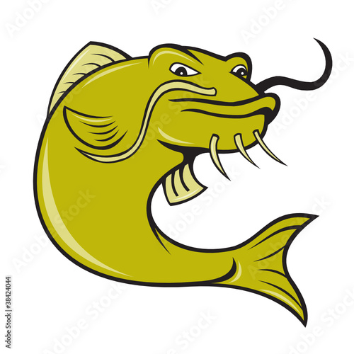 Catfish Cartoon Images