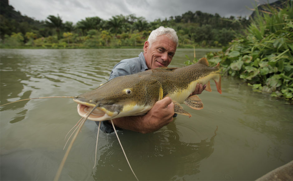 Catfish Face Recognition