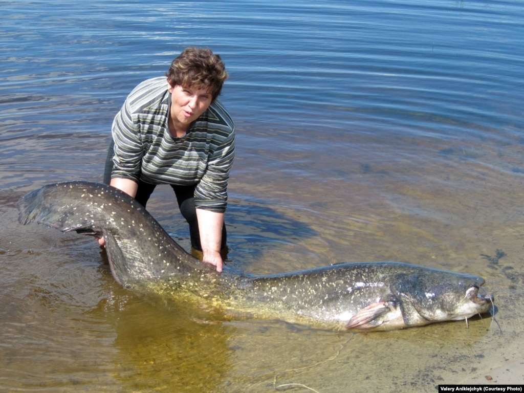 Catfish Face Recognition