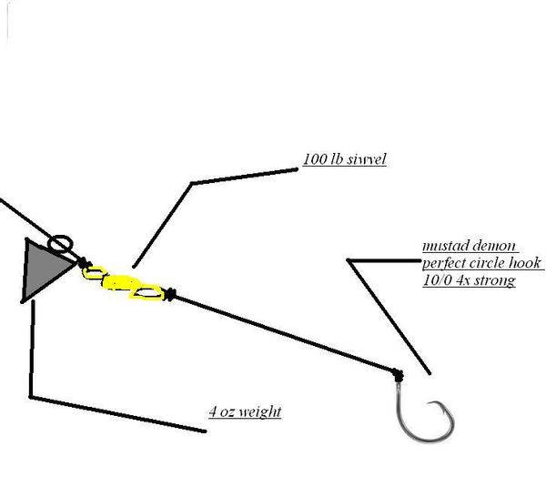 Catfish Rigs For Lakes