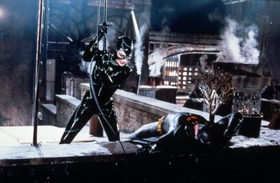 Catwoman And Batman Fight