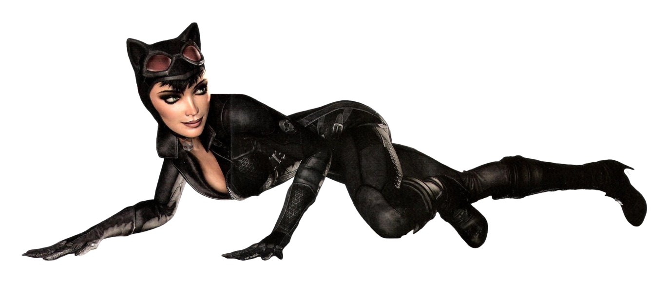 Catwoman Arkham City Gif