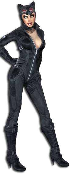 Catwoman Costume Arkham City