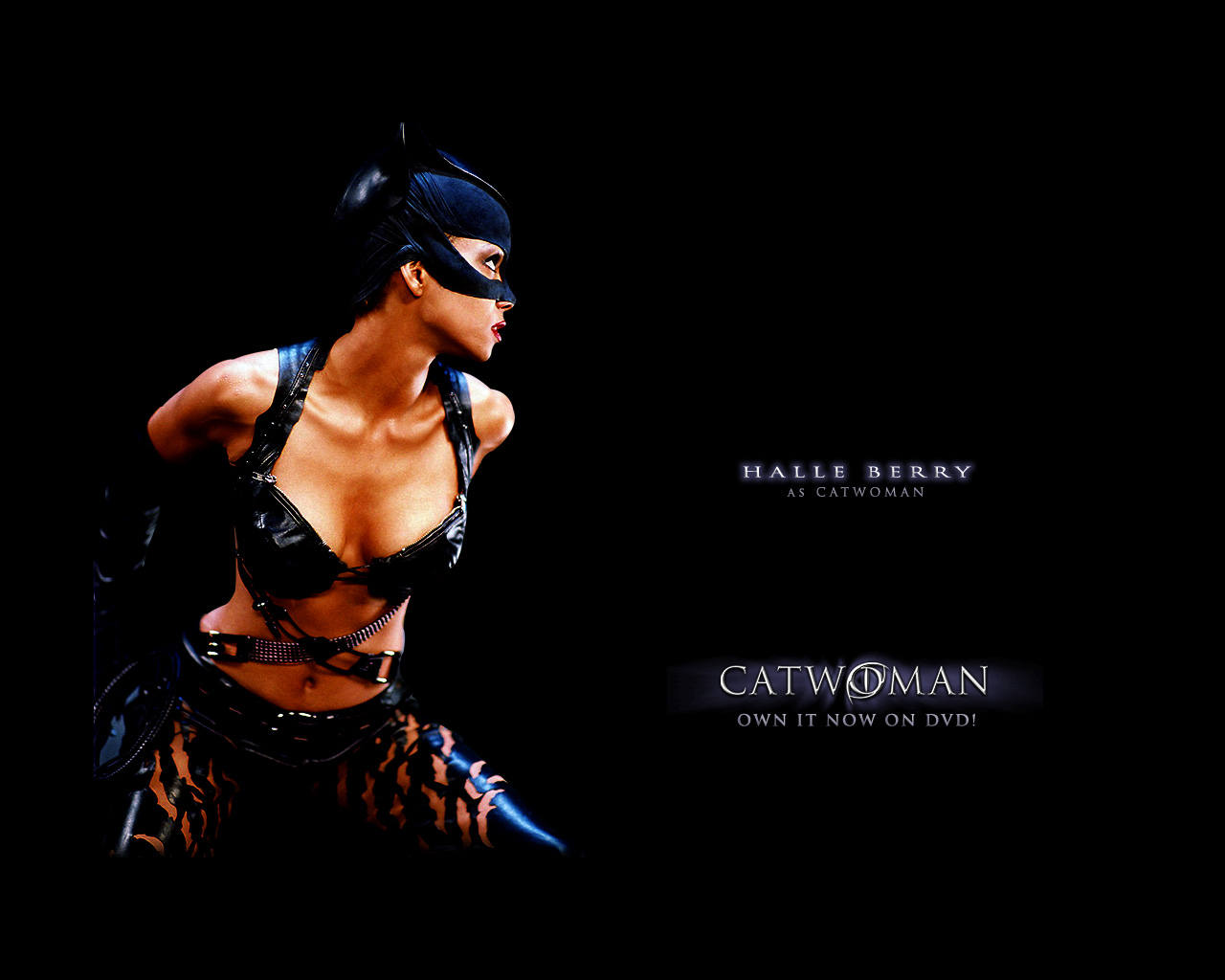 Catwoman Halle Berry Face