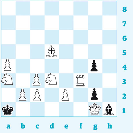 Chess Candidates Tournament 2013