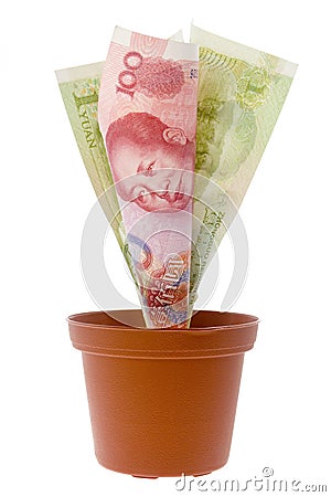 Chinese Money Plant Care