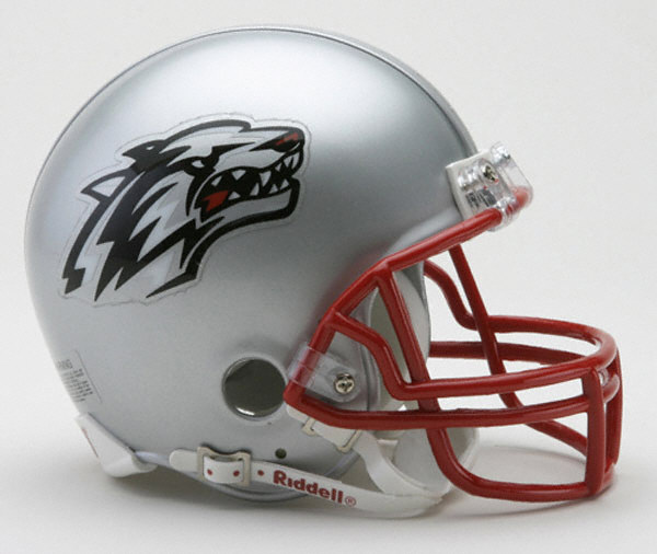 College Football Helmets 2009