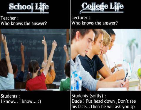 College Life Funny Images