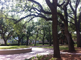 College Of Charleston Campus