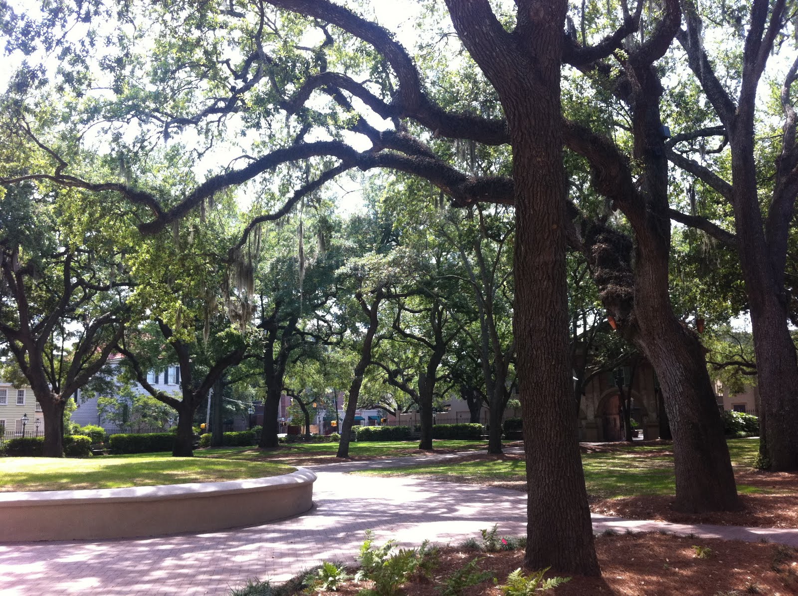 College Of Charleston Campus Photos