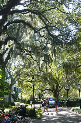 College Of Charleston Campus Photos