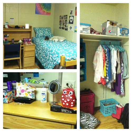 College Of Charleston Dorms Pictures