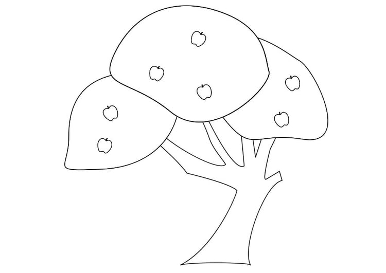 Coloring Pages Apple Tree