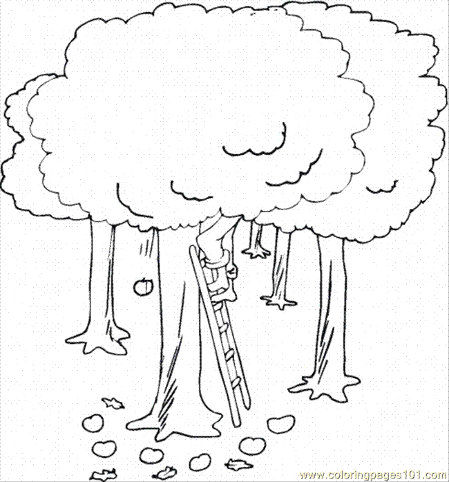 Coloring Pages Apple Tree