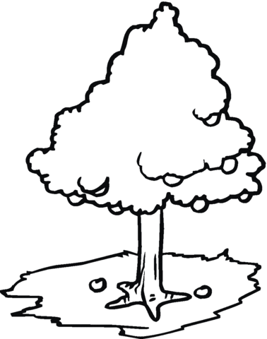 Coloring Pages Apple Tree