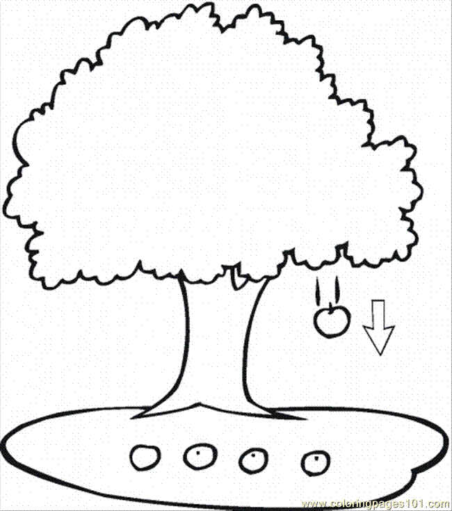 Coloring Pages Apple Tree