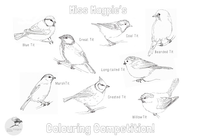 Colouring Competitions For Kids 2013 Uk