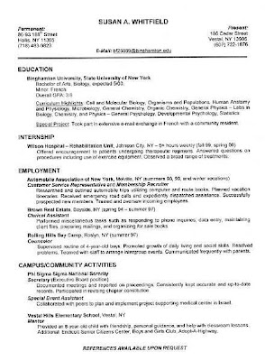 Computer Skills Resume Example