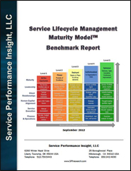 Consulting Services Maturity Model