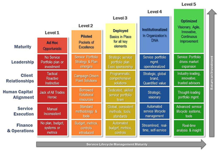 Consulting Services Maturity Model