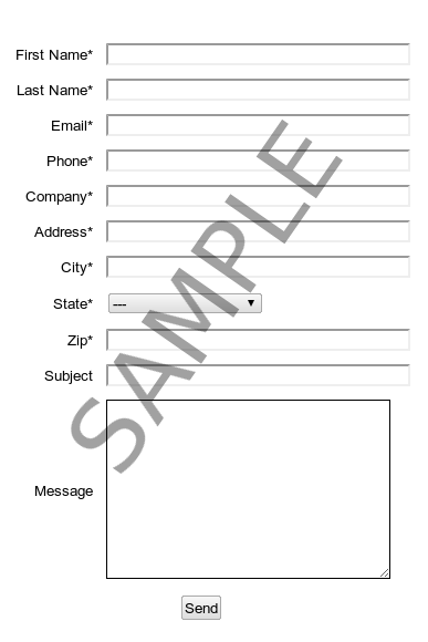 Contact Us Form Example