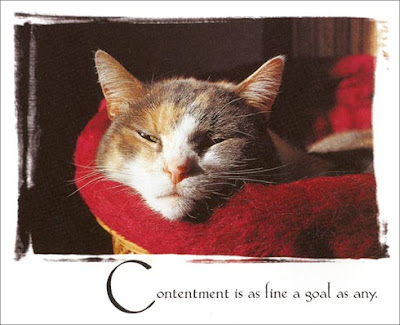 Contentment Quotes With Pictures