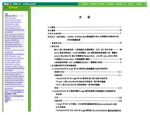 Contents Page Example Dissertation